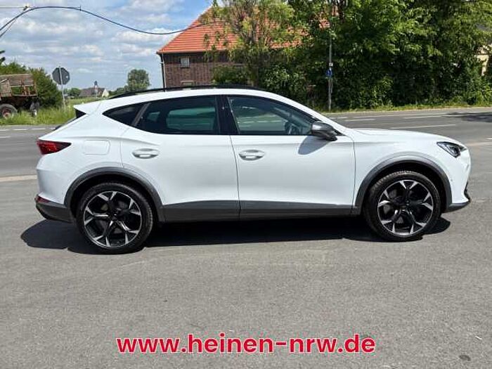 CUPRA Formentor VZ 2.0 TSI EINPARKASSISTENT DAB SHZ