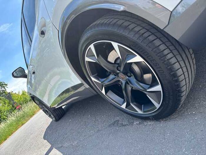 CUPRA Formentor VZ 2.0 TSI EINPARKASSISTENT DAB SHZ