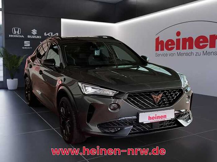 CUPRA Formentor 2.0 TSI VZ Tribe Edition DSG 19Z FELGEN